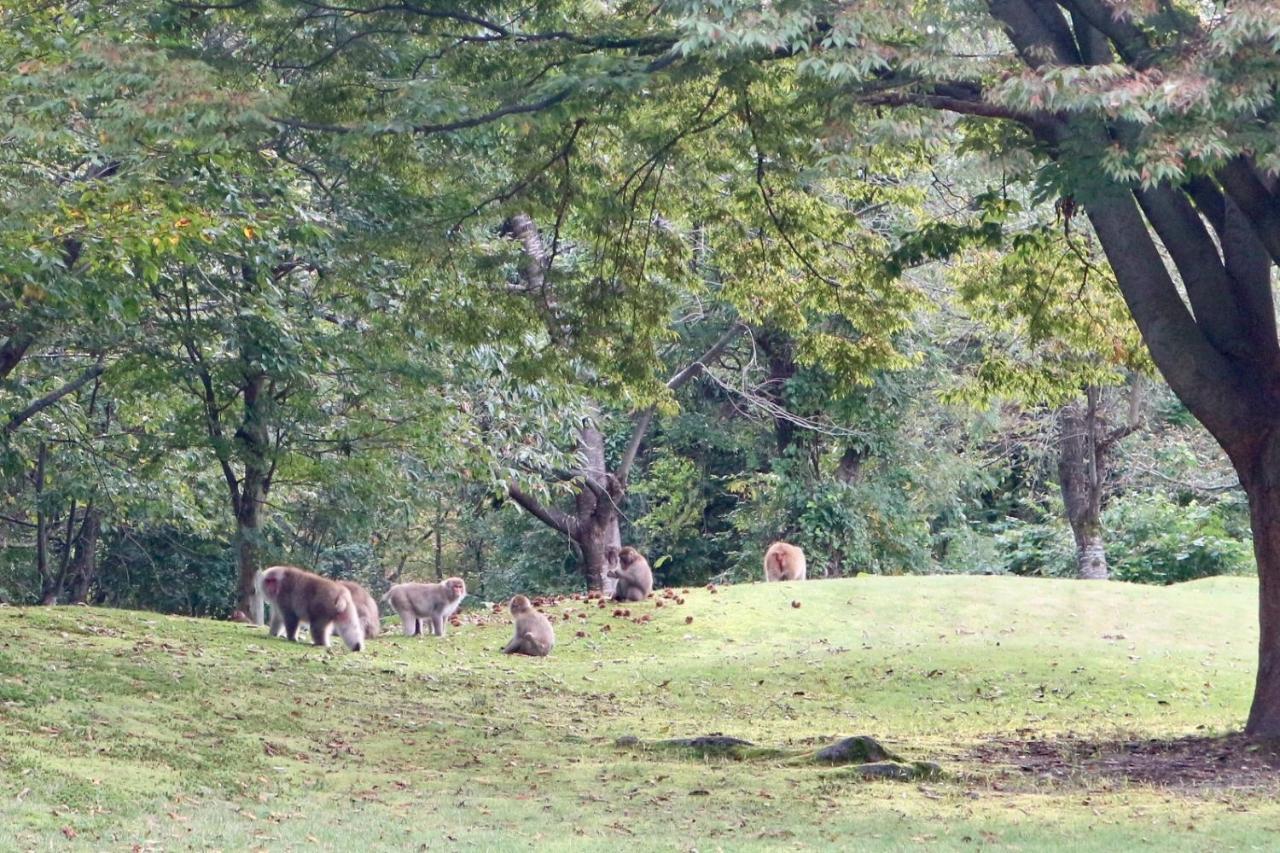 御神楽温泉 ブナの宿 小会瀬 阿賀町 エクステリア 写真